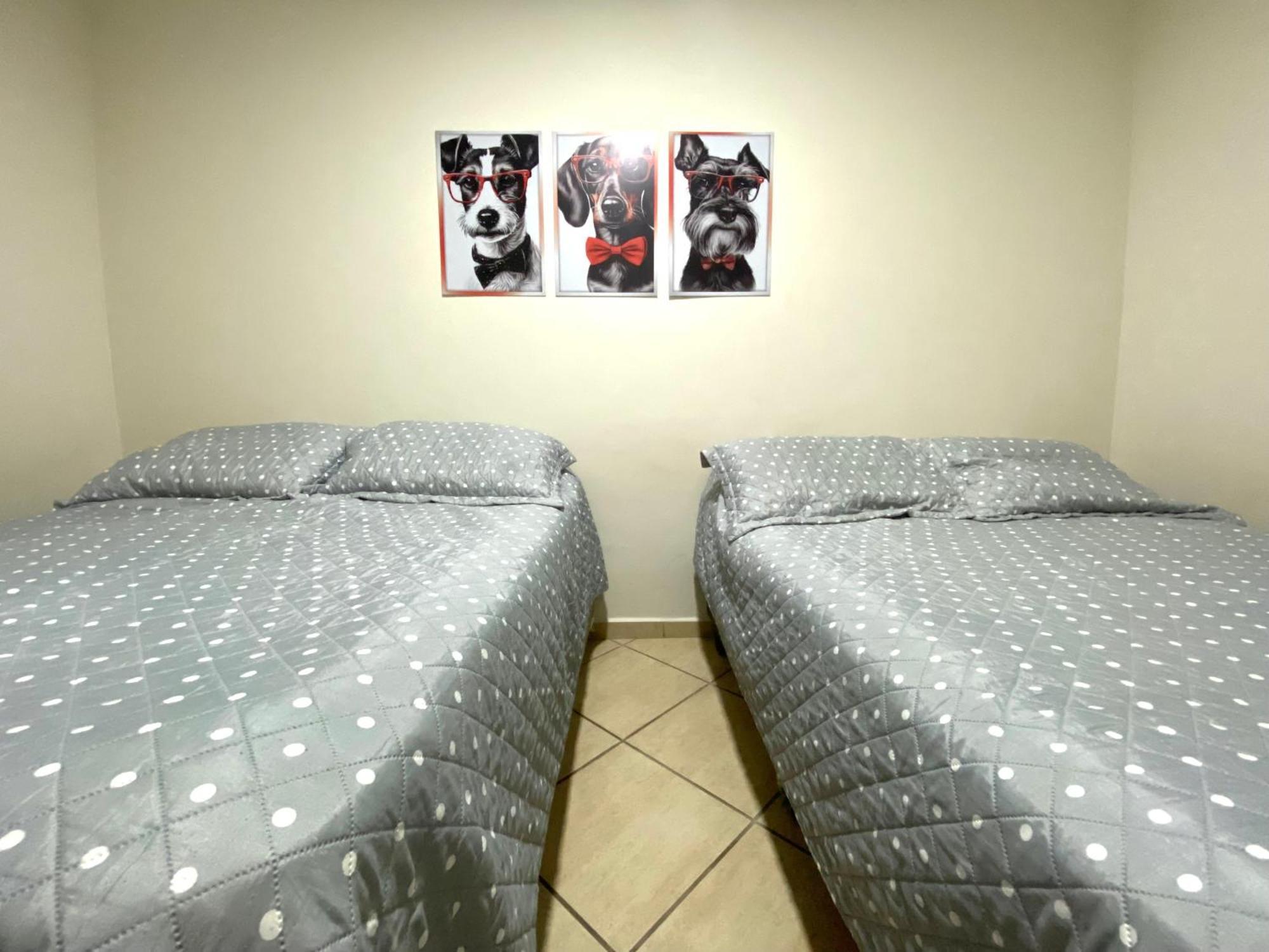 פראייה גראנדה Boqueirao Apt12 מראה חיצוני תמונה